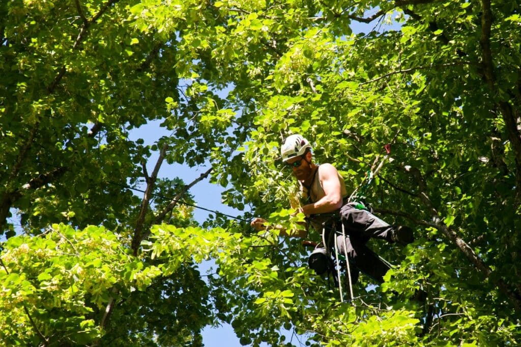 5 Destinos Imperdíveis para 'Esportes de Aventura no Brasil'